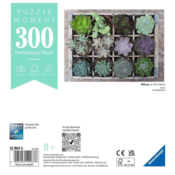 Green Erwachsenenpuzzle 300 Teile